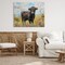 Stupell Industries Belted Galloway in Meadow Canvas By Franklyn Gregory
